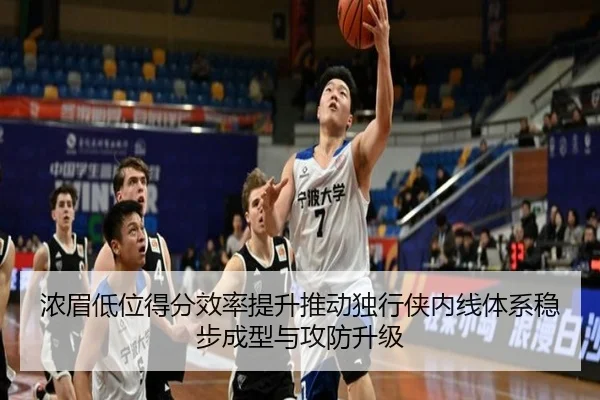 浓眉低位得分效率提升推动独行侠内线体系稳步成型与攻防升级